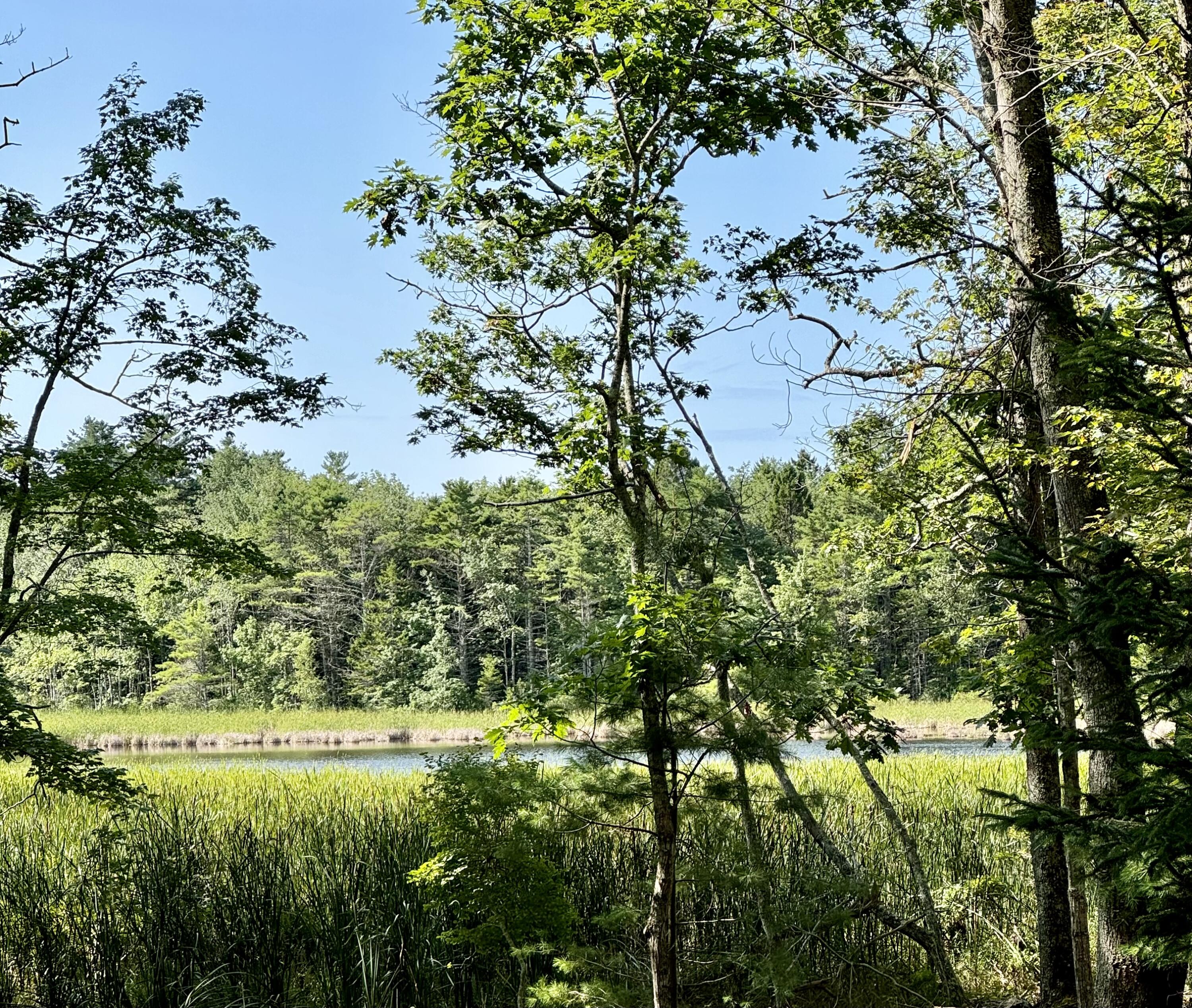 Lot 0 Long Point Road Harpswell, ME 04079 - Photo 4 of 12 IMG_0822