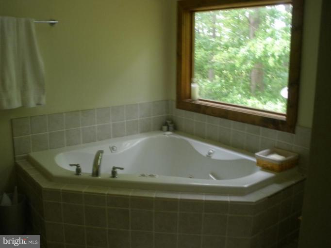 12585 Hunt Road Culpeper, VA 22701 - Photo 15 of 20 Master Bath
