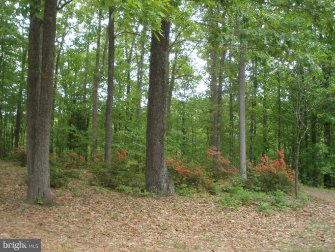 12585 Hunt Road Culpeper, VA 22701 - Photo 3 of 20 view from front deck