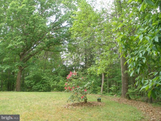 12585 Hunt Road Culpeper, VA 22701 - Photo 5 of 20 Wooded View / Acreage