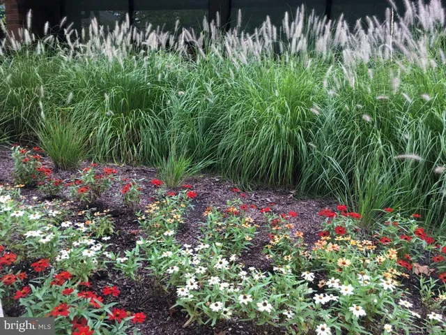 $650,000 | 807 Eastern Point Road, Annapolis, MD 21401