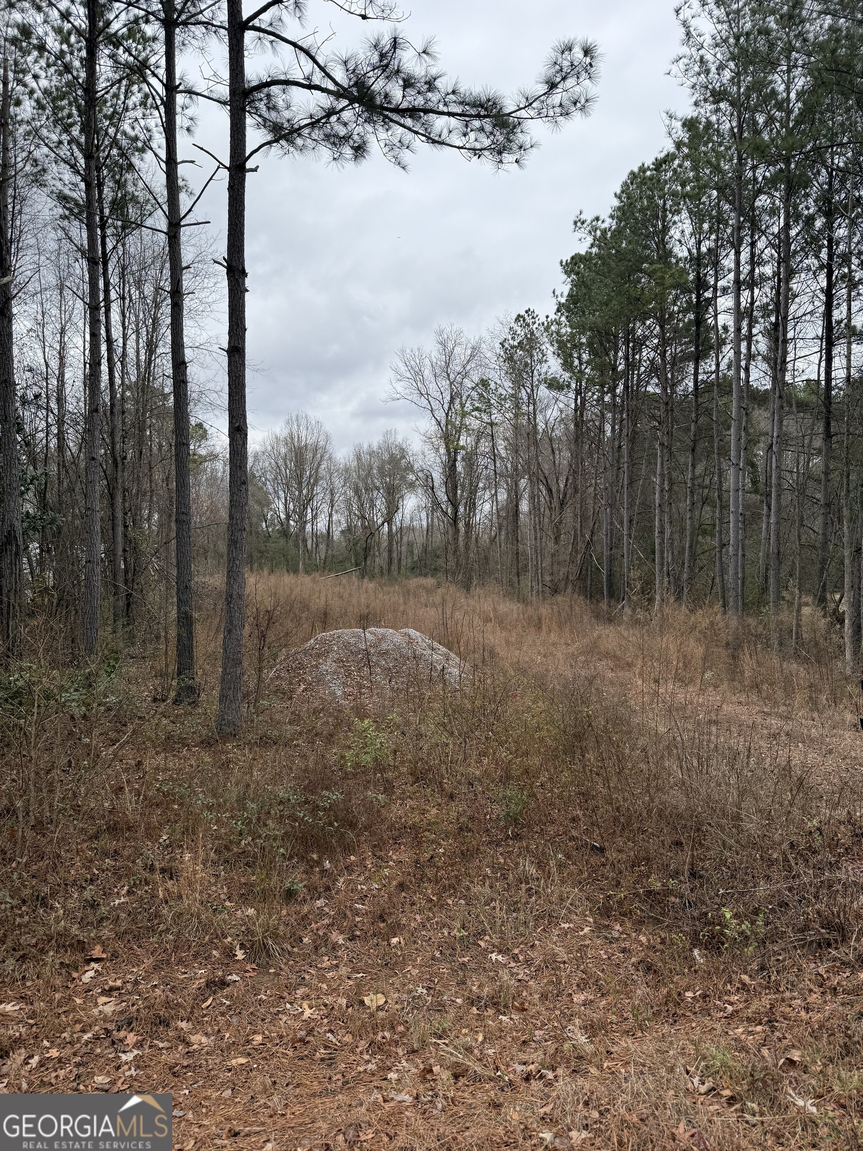 10801 Callaway Road Gay, GA 30218 - Photo 4 of 9 a view of a yard with lots of green space