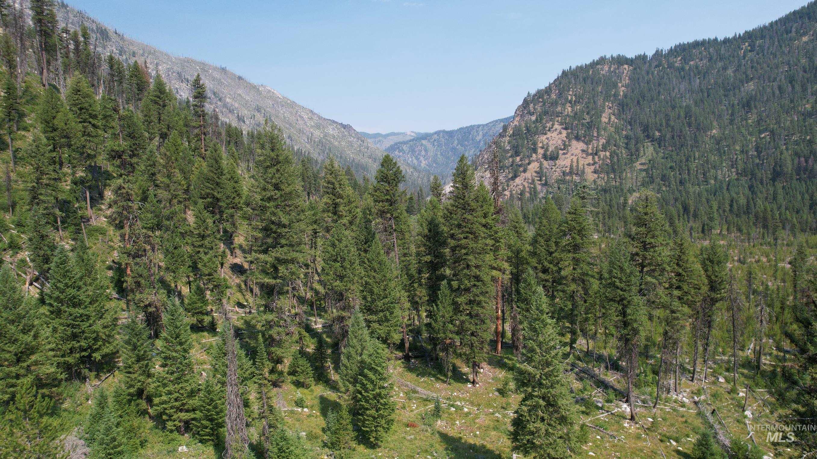 Tbd Johnson Creek Road Yellow Pine, ID 83677 - Photo 4 of 15