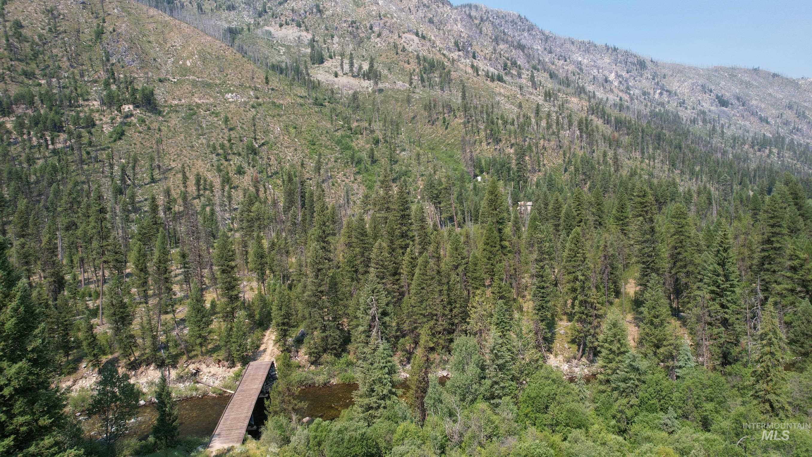 Tbd Johnson Creek Road Yellow Pine, ID 83677 - Photo 5 of 15