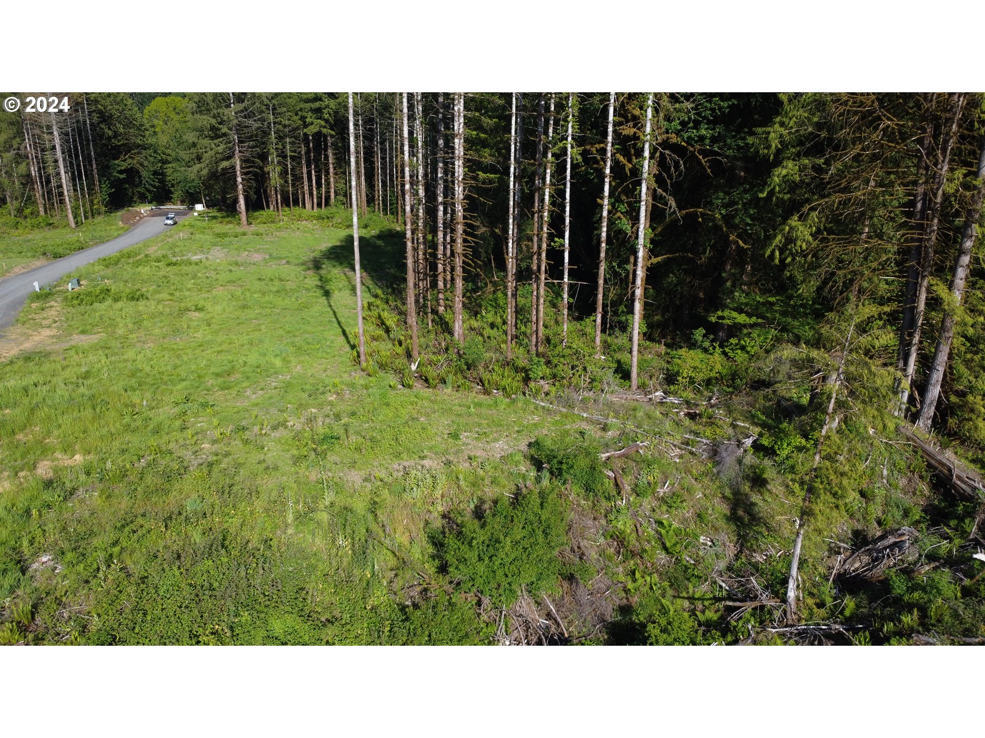 0 Carlon Loop Road, Unit 3 Longview, WA 98632 - Photo 5 of 20