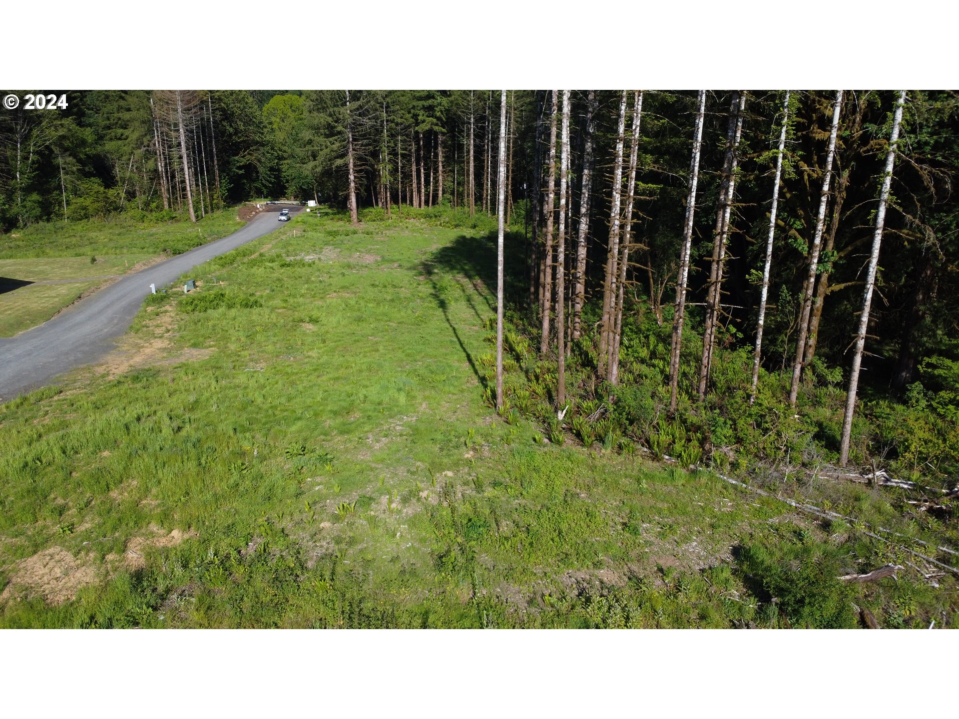 0 Carlon Loop Road, Unit 3 Longview, WA 98632 - Photo 6 of 20