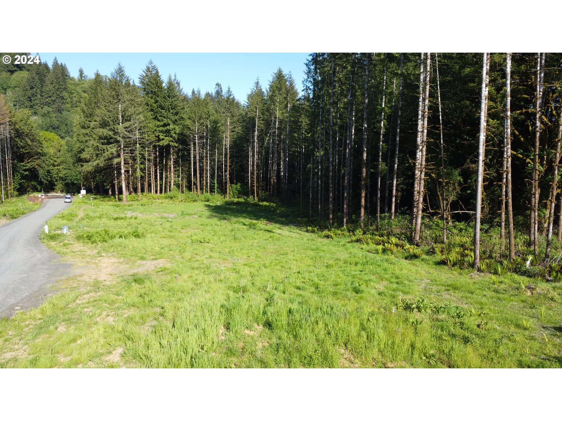 0 Carlon Loop Road, Unit 3 Longview, WA 98632 - Photo 8 of 20