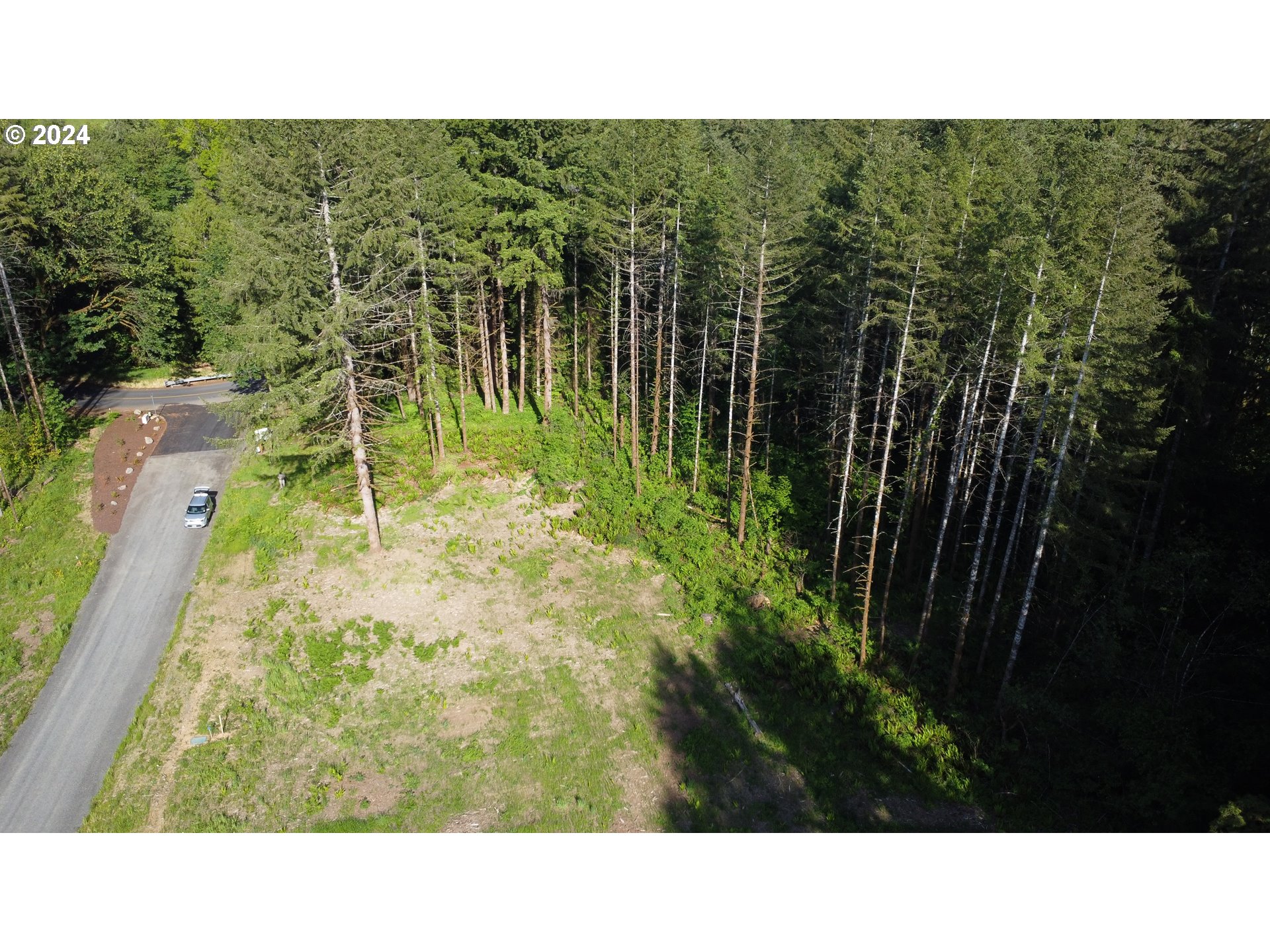 0 Carlon Loop Road, Unit 3 Longview, WA 98632 - Photo 9 of 20