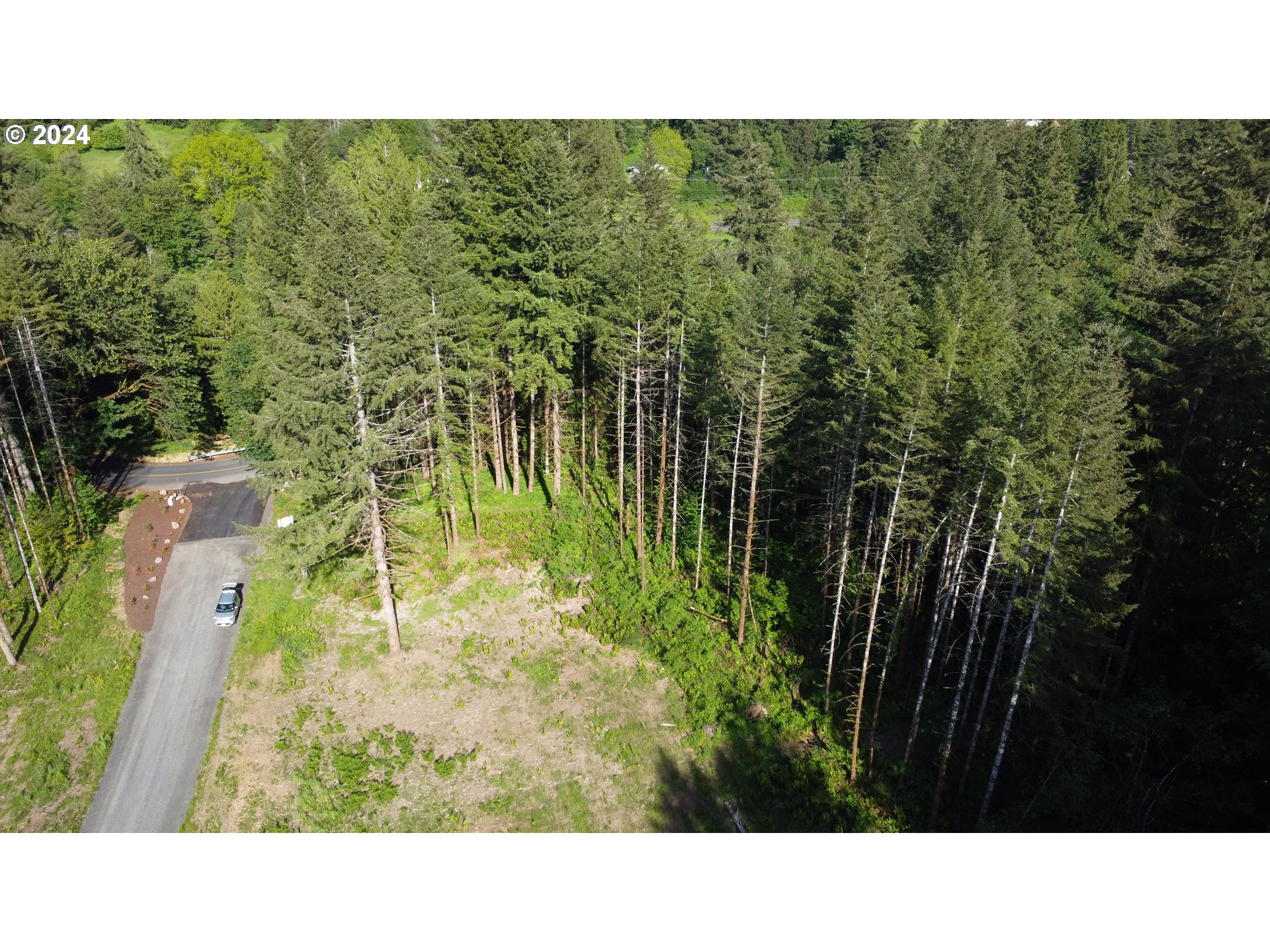 0 Carlon Loop Road, Unit 3 Longview, WA 98632 - Photo 10 of 20