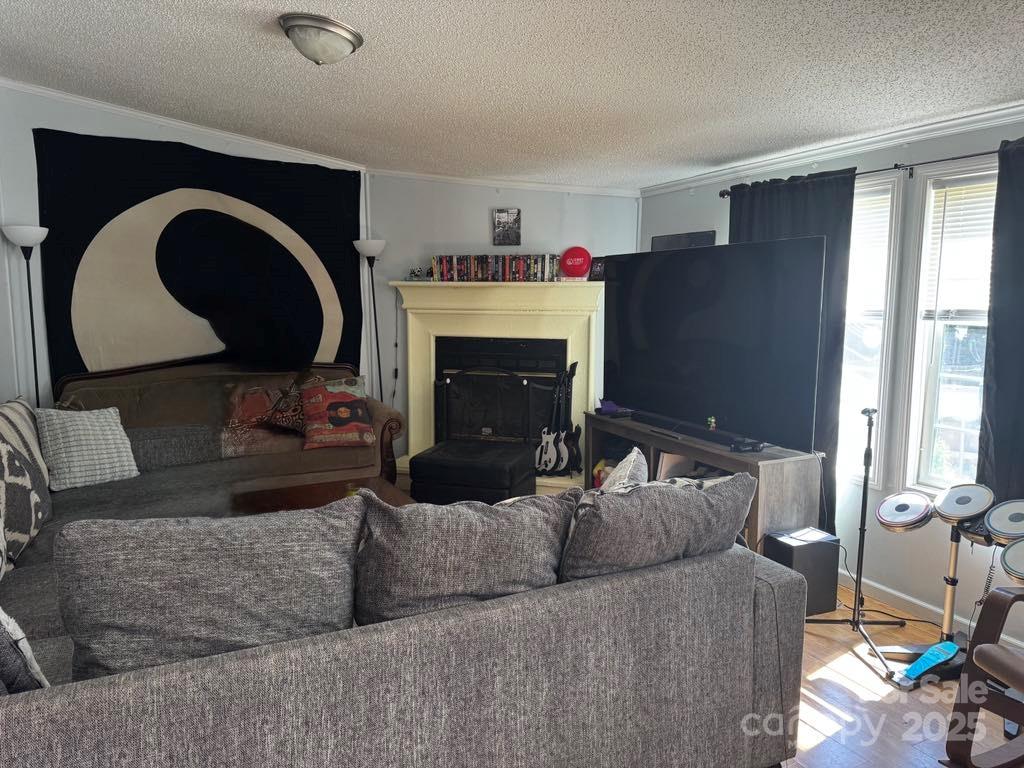 2194 Sterling Ridge Drive Newton, NC 28658 - Photo 12 of 26 a living room with furniture and a fireplace