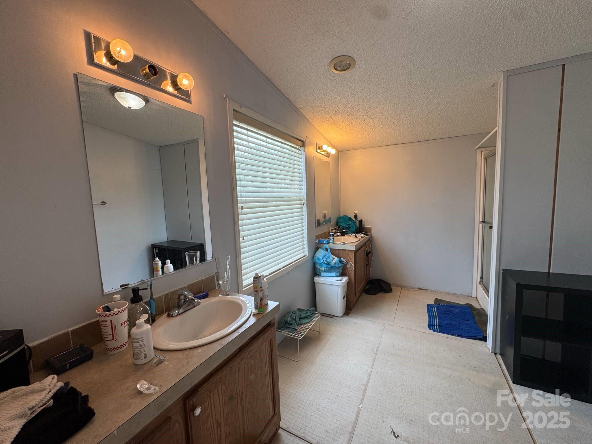 2194 Sterling Ridge Drive Newton, NC 28658 - Photo 20 of 26 a bathroom with a sink and a mirror