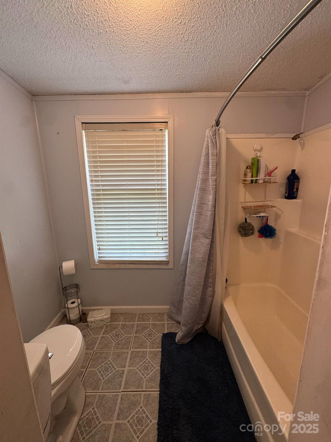 2194 Sterling Ridge Drive Newton, NC 28658 - Photo 26 of 26 a bathroom with a tub a rug and a window