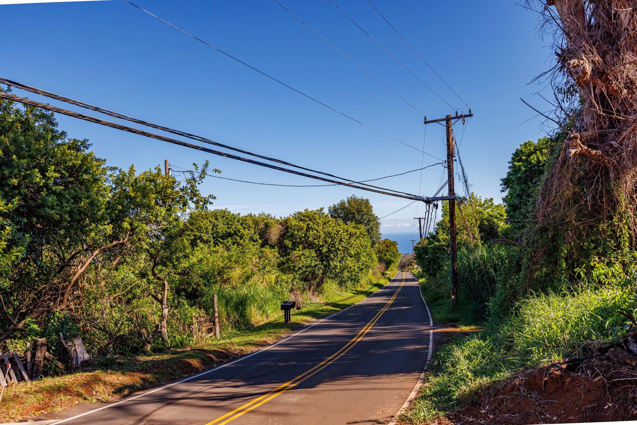 Olinda Road Makawao, HI 96768 - Photo 8 of 10 a view of a pathway with a park