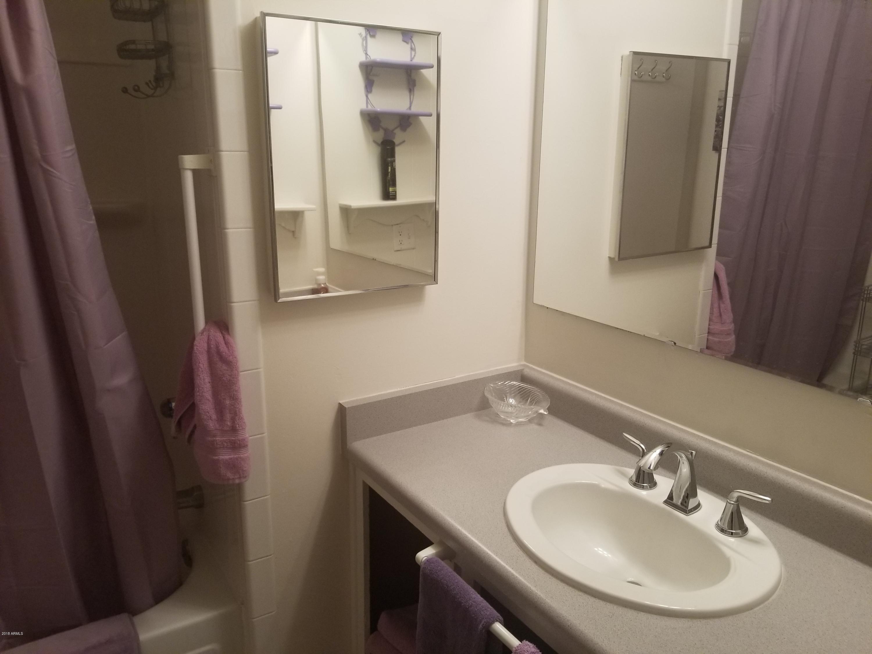 303 South Recker Road, Unit 194 Mesa, AZ 85206 - Photo 16 of 22 20181128_173938