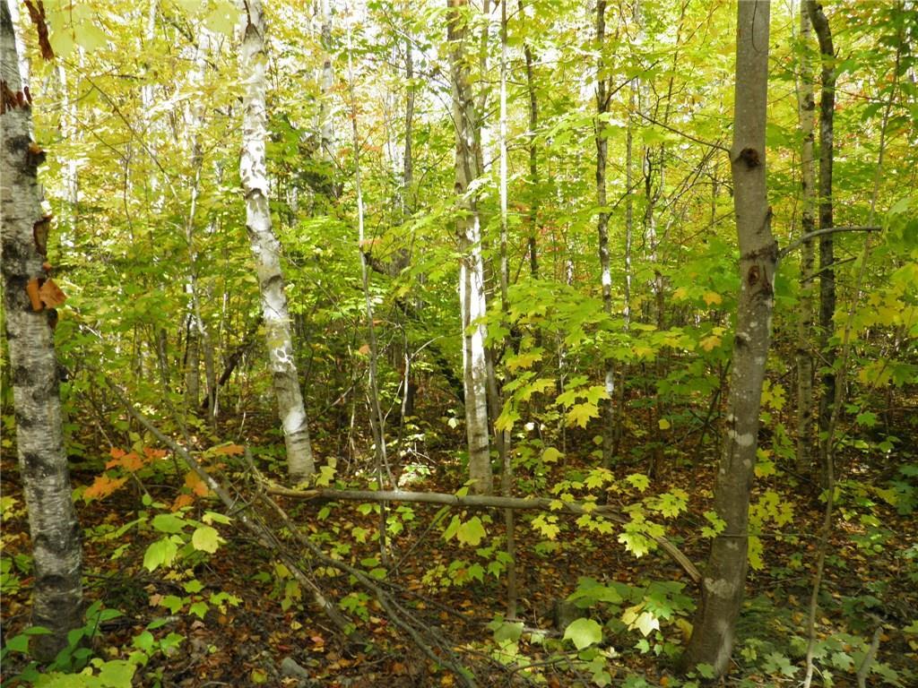 Lot 16 Ackley Pond Rd Mount Mount Chase, ME 04765 - Photo 2 of 3 Photo