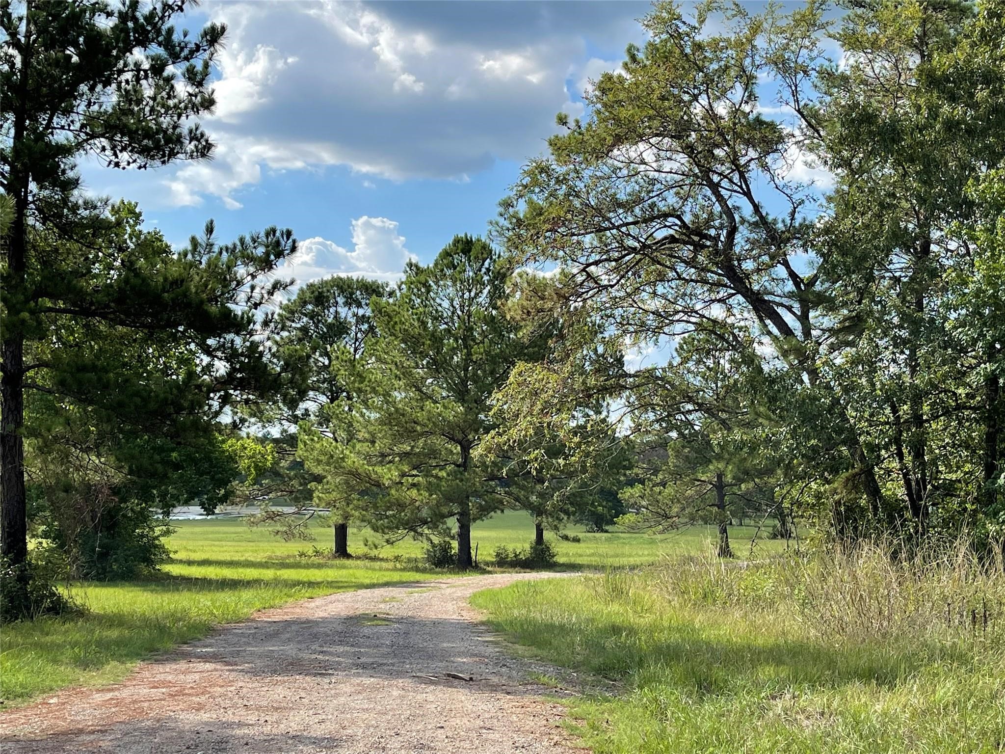 10693 Ruger Road Willis, TX 77378 - Photo 13 of 15 a view of a golf course