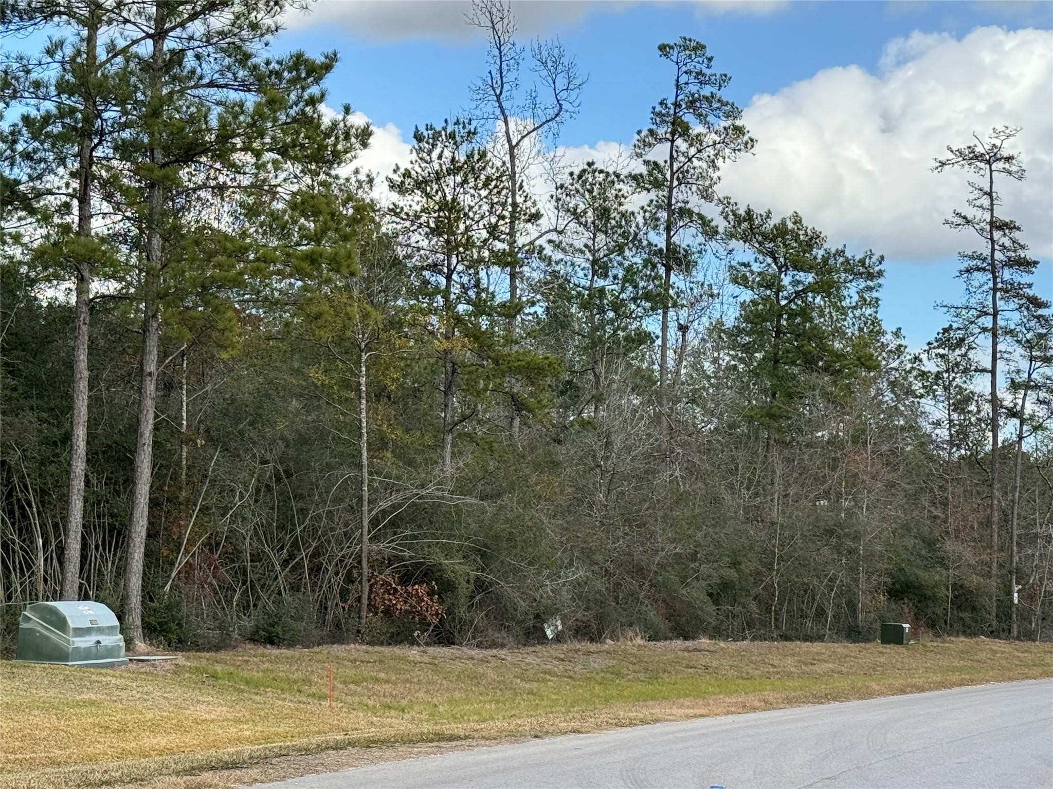 10693 Ruger Road Willis, TX 77378 - Photo 4 of 15 a view of a entertaining space