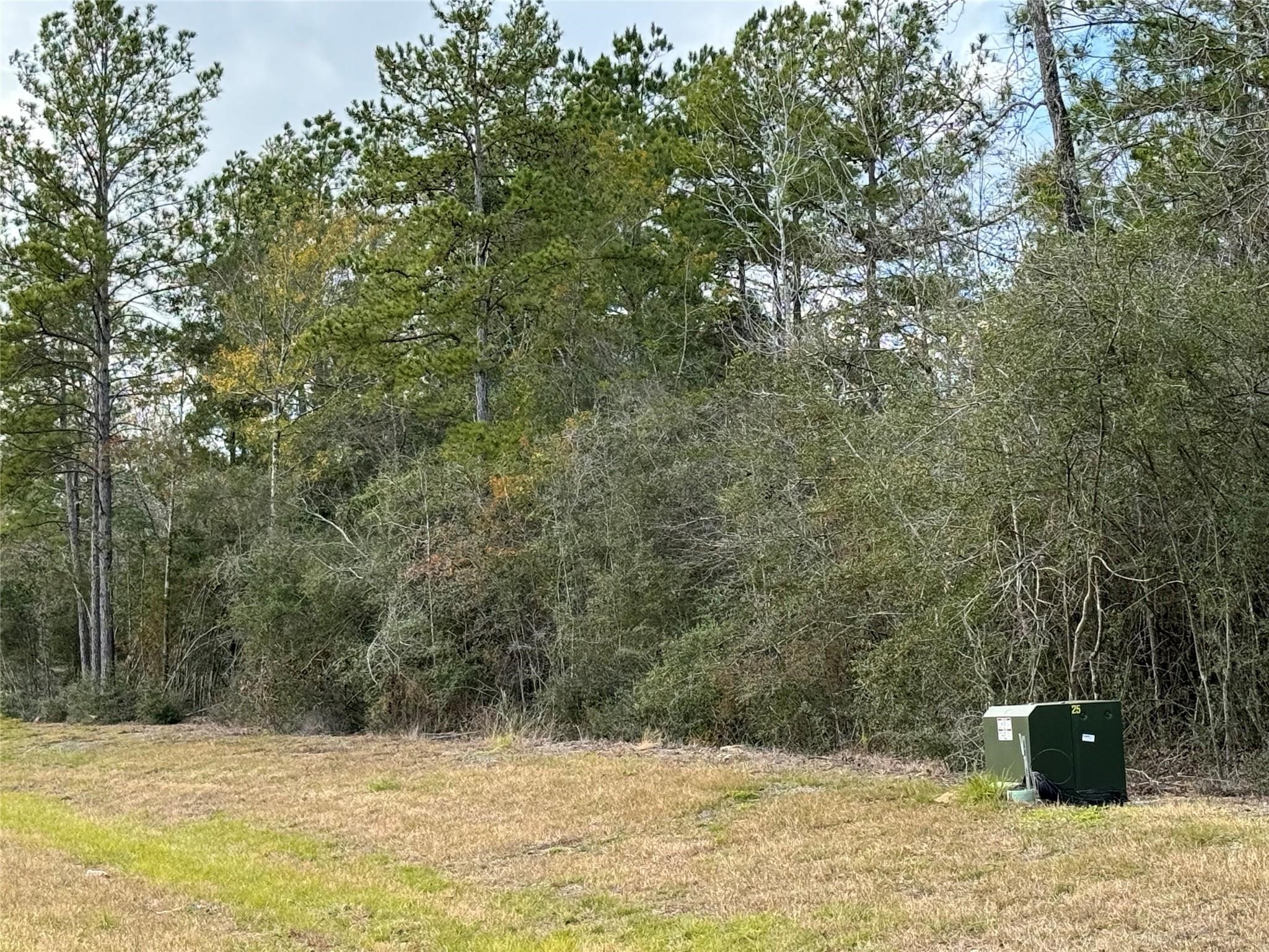 10693 Ruger Road Willis, TX 77378 - Photo 6 of 15 a view of swimming pool with a yard