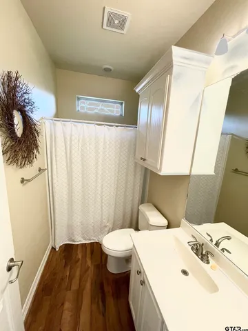 a bathroom with a sink a toilet and shower curtain