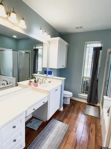 a bathroom with a sink a toilet a mirror and vanity