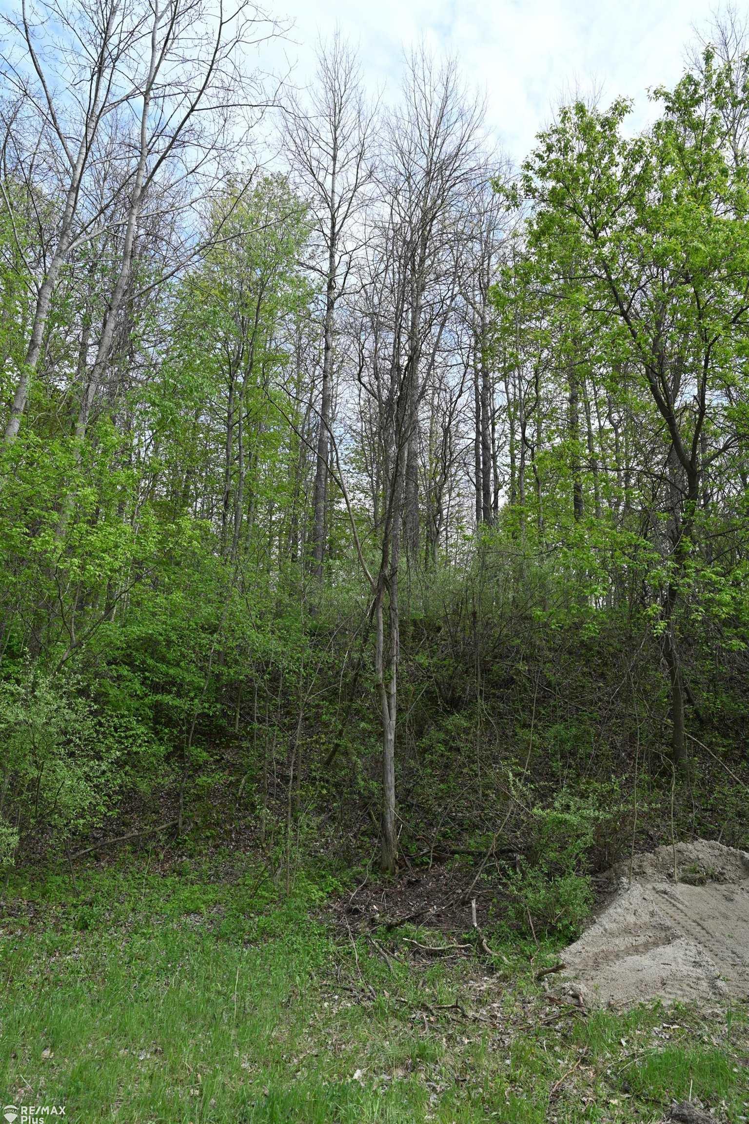 0 Miller Lake Road Columbiaville, MI 48421 - Photo 19 of 33