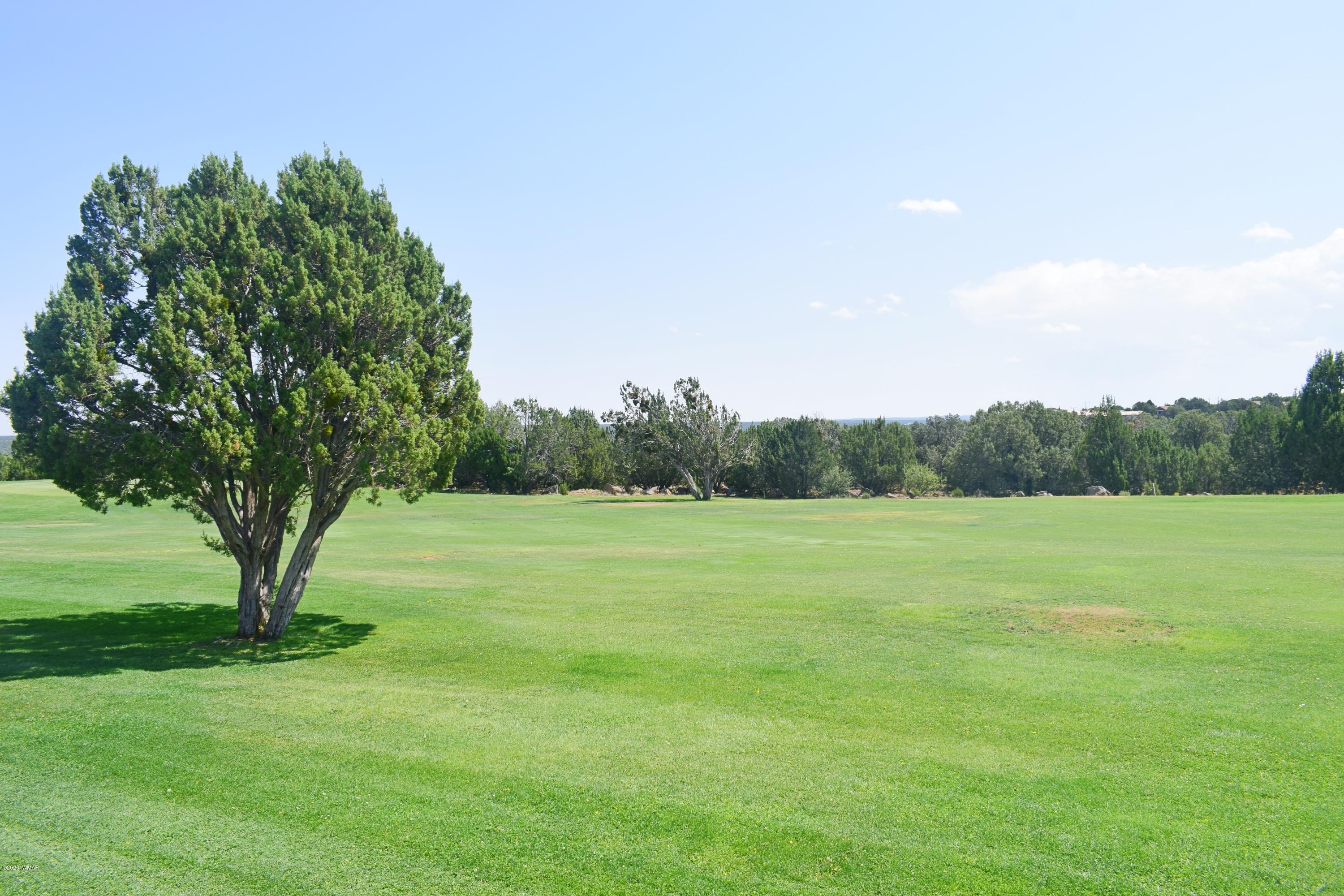 1879 Fairway Run Show Low, AZ 85901 - Photo 42 of 46