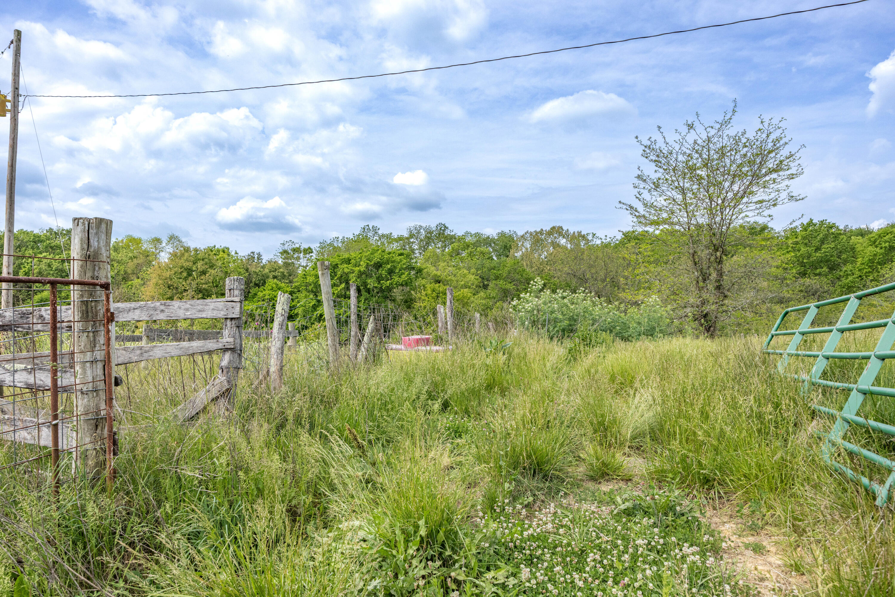 3020 Somerset Road Sharpsburg, KY 40374 - Photo 14 of 15 5B5A3753