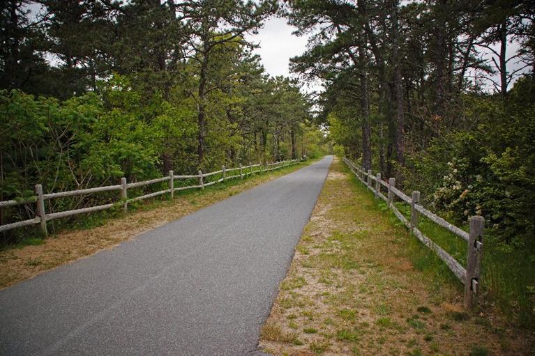 29 Jesse Eldredge Road Harwich, MA 02645 - Photo 24 of 25 a view of a yard with large trees