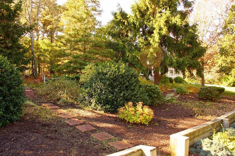 29 Jesse Eldredge Road Harwich, MA 02645 - Photo 5 of 25 a view of a tree with lots of trees