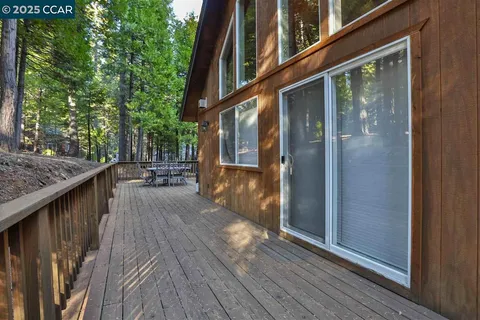 a view of a forest with trees in the background