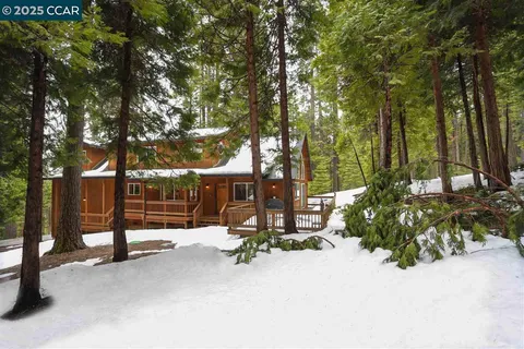 a view of a city with lush green forest