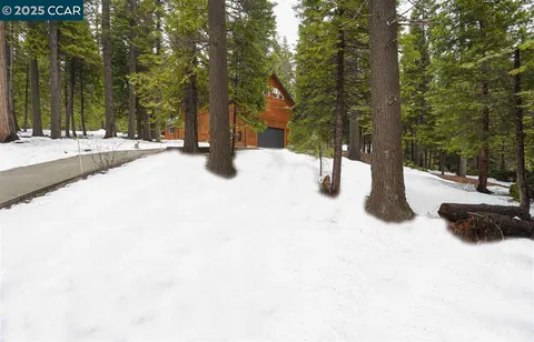 a view of lots of trees and buildings