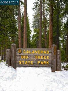 a view of a grassy area with an trees