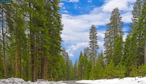 a view of a big yard with lots of green space