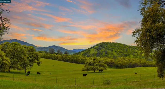 a front view of a multi story building