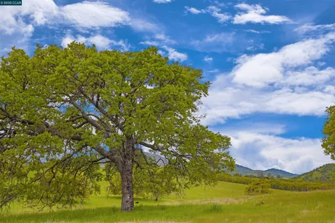 a front view of a multi story building