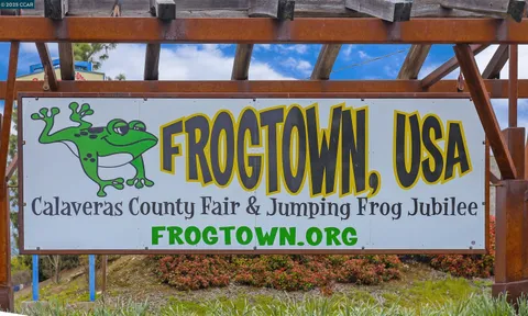 $789,000 | 2883 Chinook Way, Dorrington, CA 95223