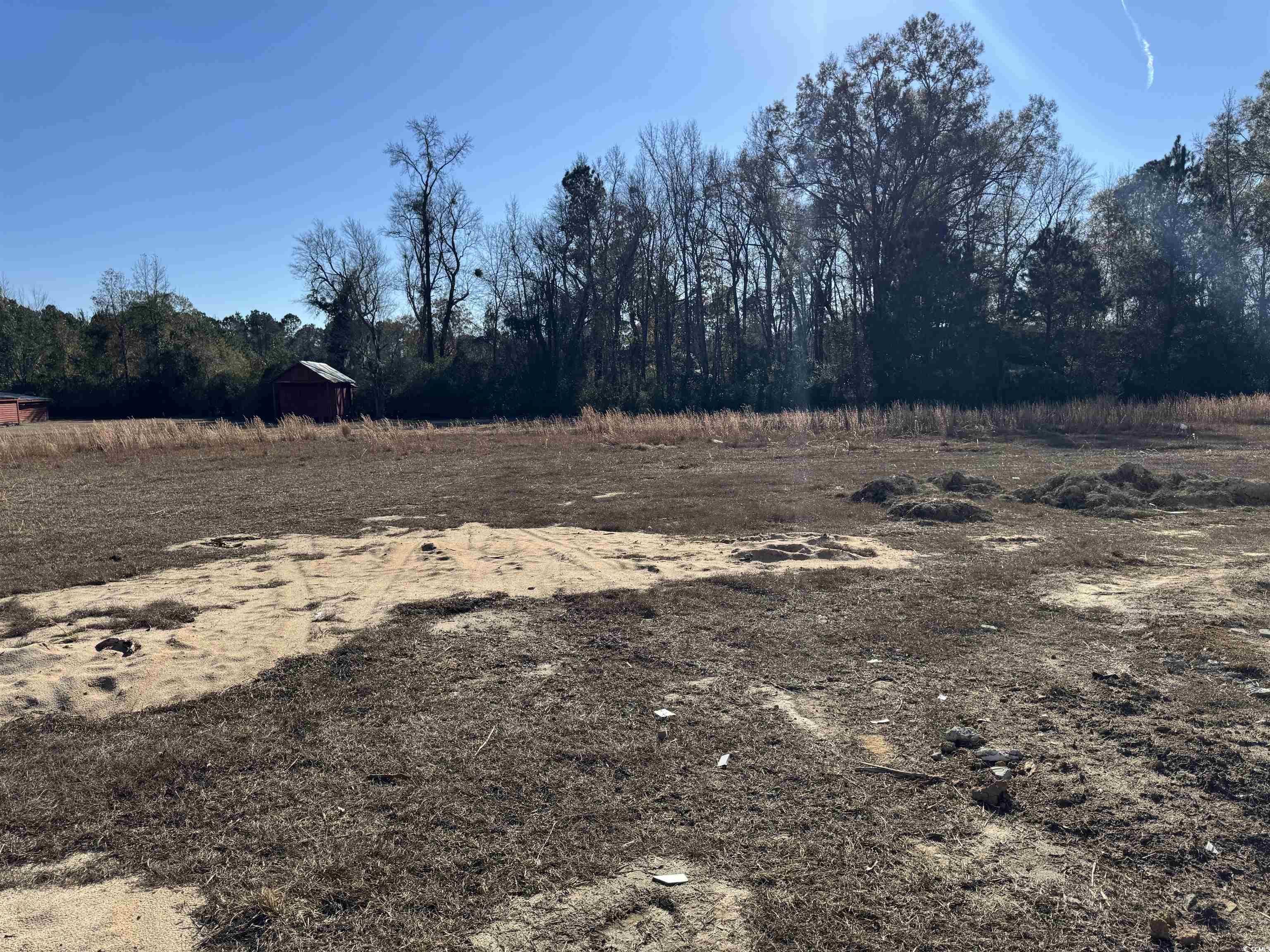6861 Highway 804 Conway, SC 29527 - Photo 19 of 20 Back of house featuring a shingled roof, a patio, and board and batten siding