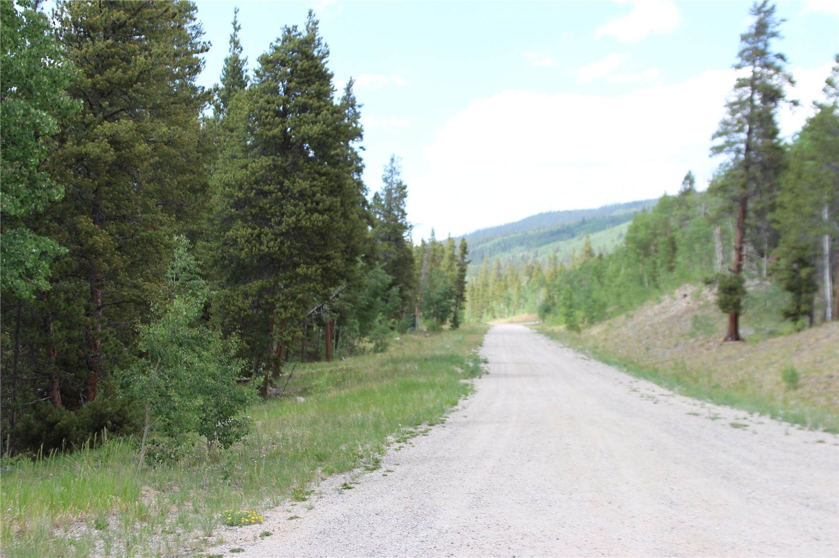 Tbd Glacier Ridge Road Alma, CO 80420 - Photo 10 of 18 Gallery Image 10