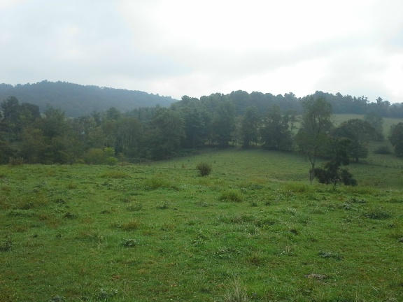 468 Kyle Weeks Road Southwest Willis, VA 24380 - Photo 14 of 47