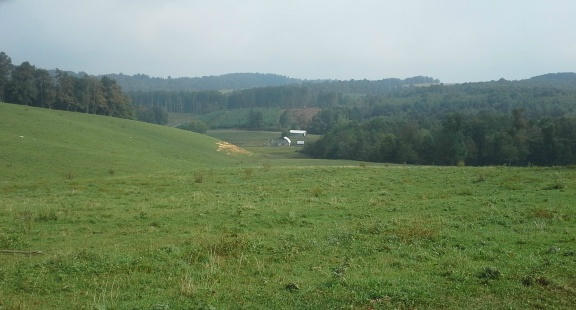 468 Kyle Weeks Road Southwest Willis, VA 24380 - Photo 8 of 47 a view of a lush green field