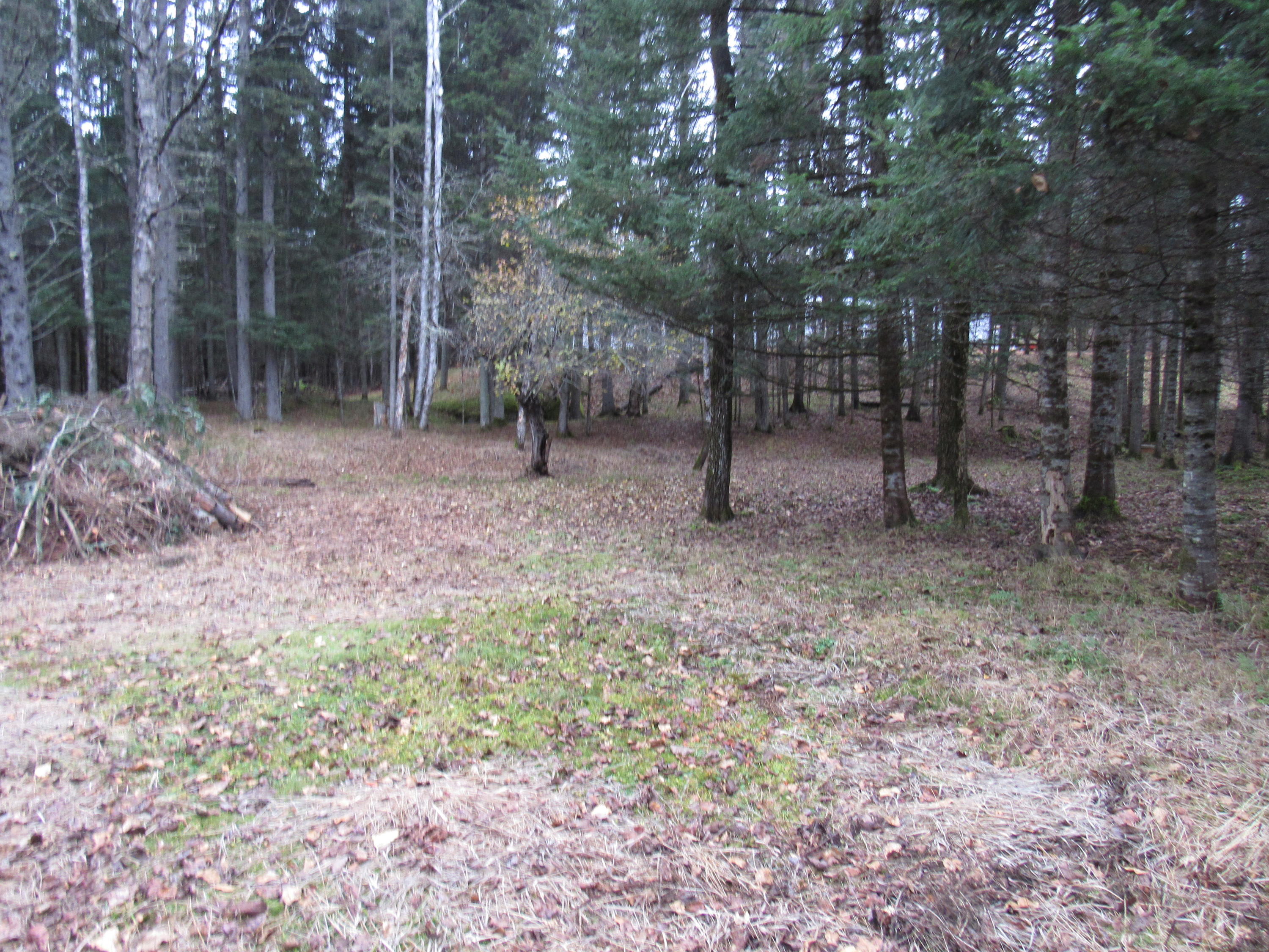 86 Heald Stream Road Jackman, ME 04945 - Photo 11 of 26 IMG_4568