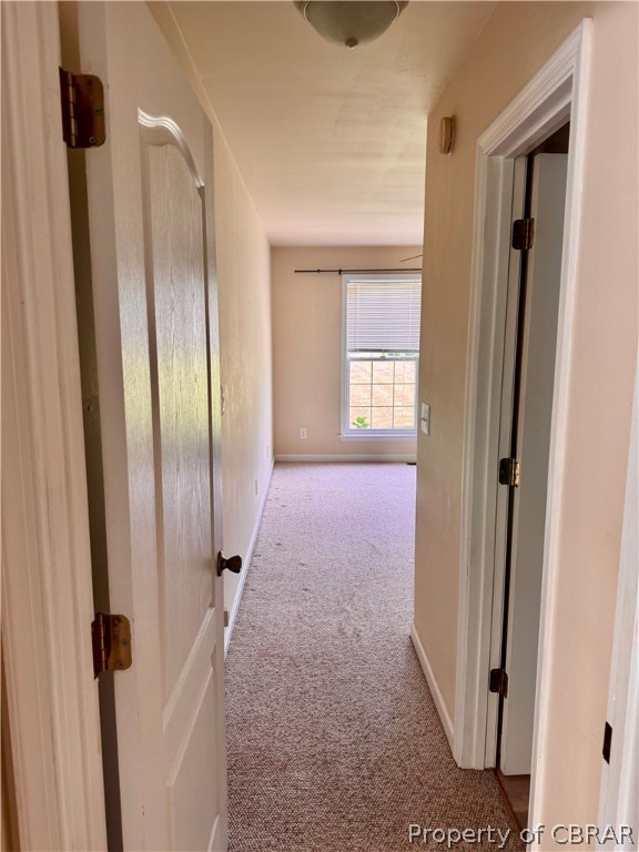 802 Remo Road Heathsville, VA 22473 - Photo 23 of 33