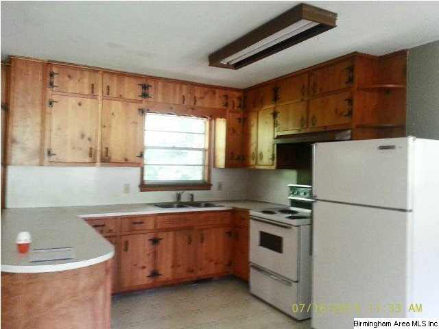 7336 Old Dixiana Road Pinson, AL 35126 - Photo 7 of 14