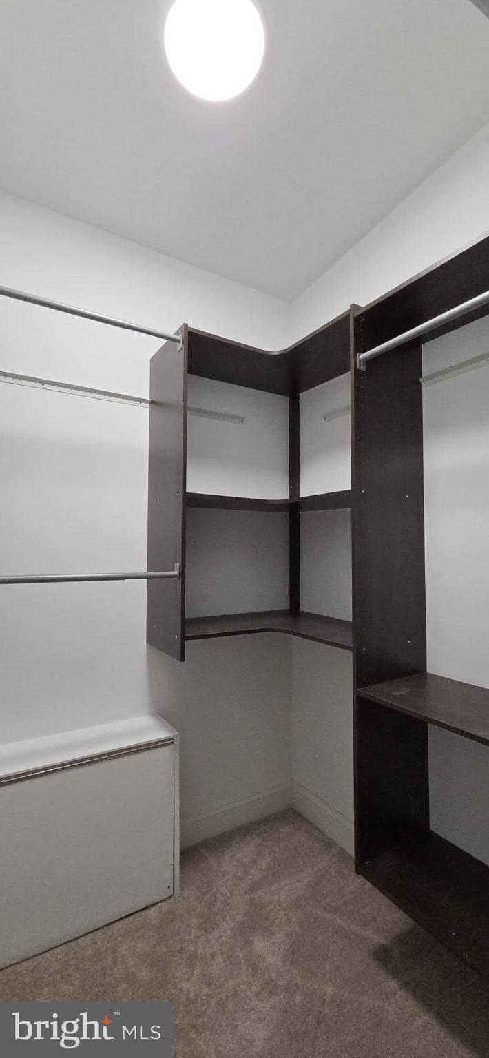 2329 Foster Avenue Baltimore, MD 21234 - Photo 32 of 47 3rd BR walk-in closet with custom shelving.