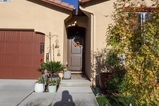 a view of a lobby with a potted plant