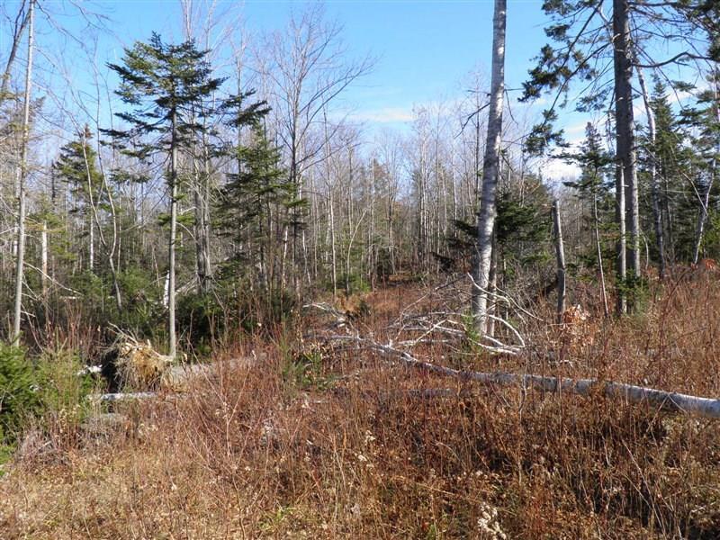 1200 Soule Road Phillips, ME 04966 - Photo 15 of 25 Photo