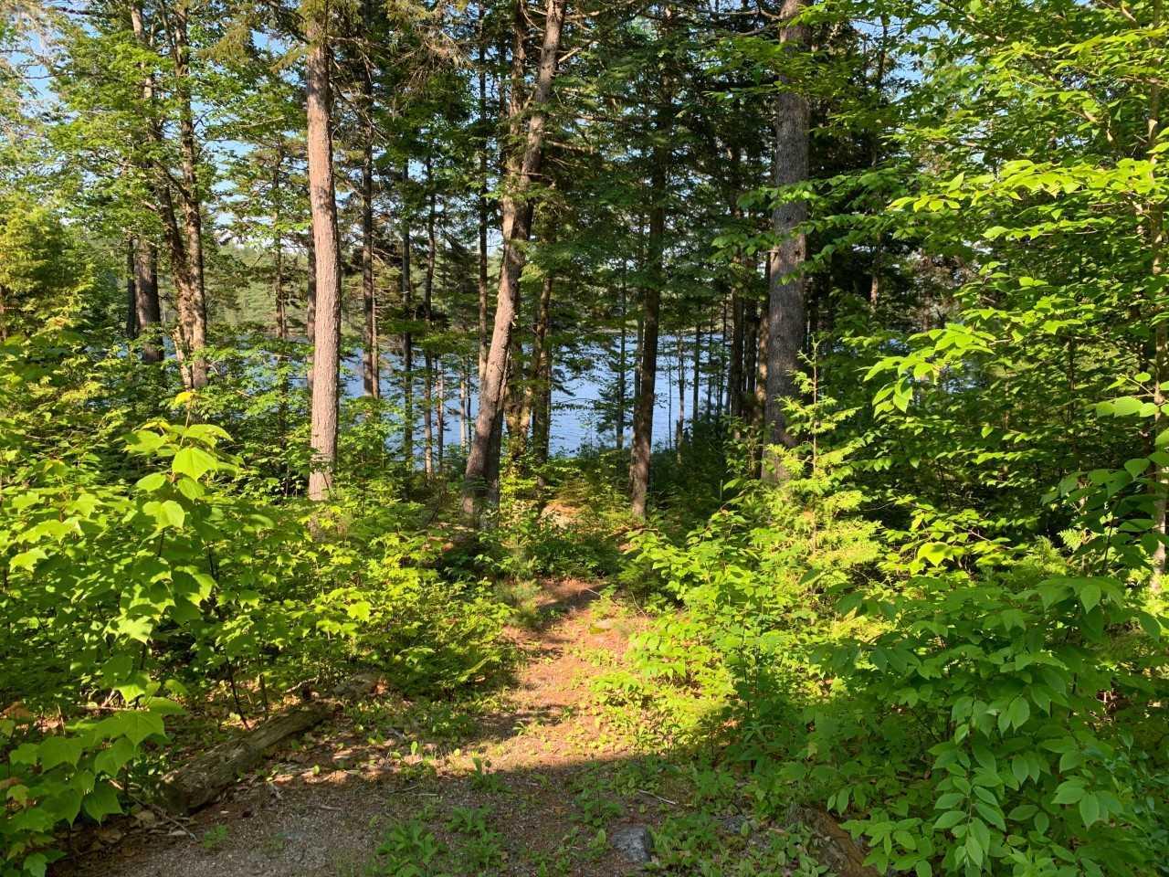 69 Tobey Island Road Northfield, ME 04654 - Photo 6 of 29 download (1)