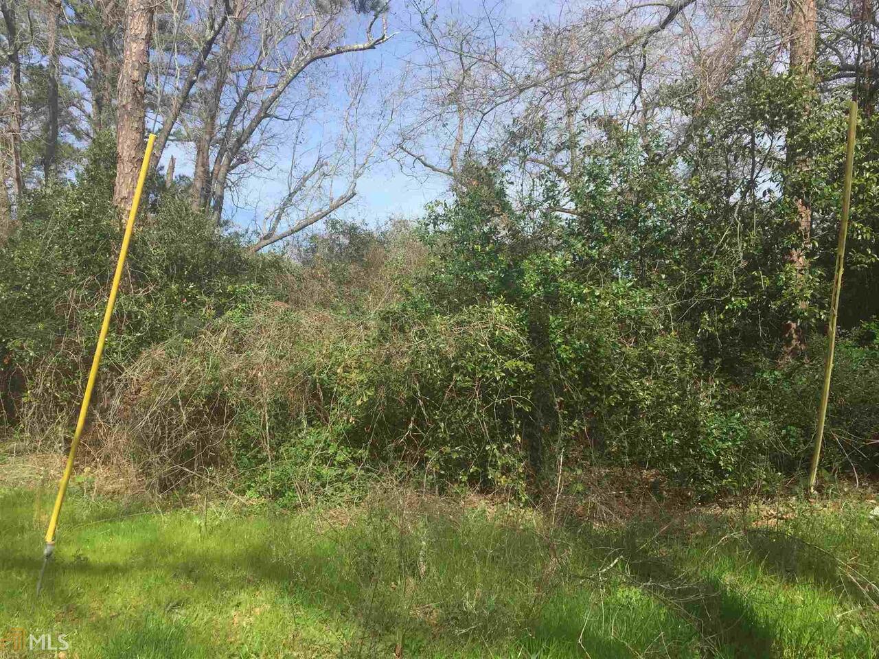 4506 Ebenezer Church Road Macon, GA 31210 - Photo 1 of 1 a view of a forest
