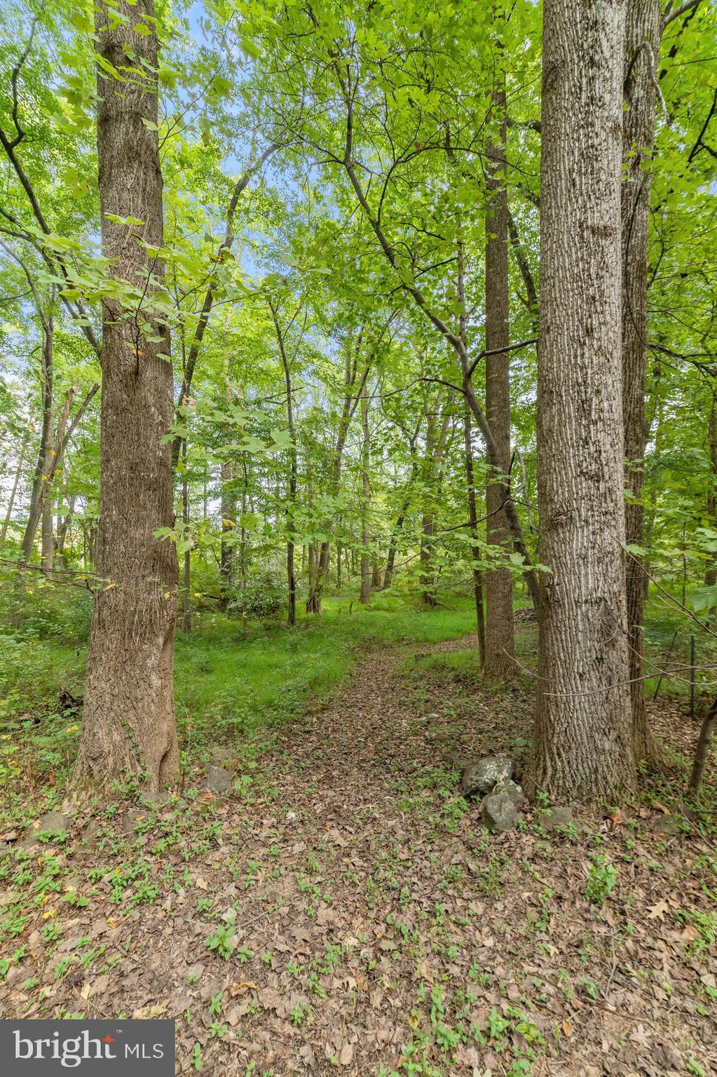 7295 Forrest Road Warrenton, VA 20187 - Photo 15 of 17 Gallery Image 15